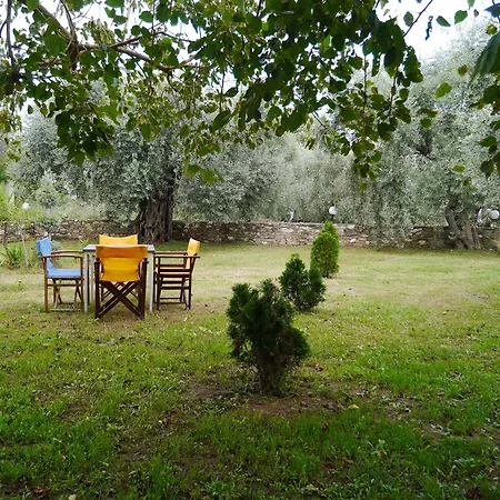 Blue Sky Appartement